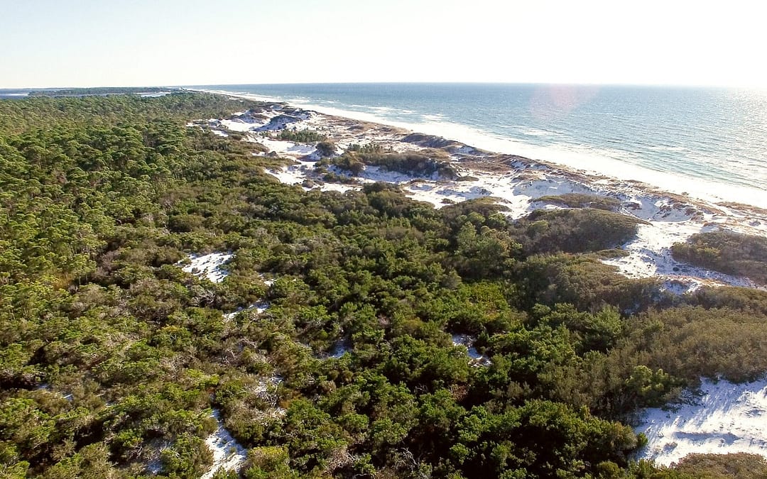 Cape San Blas Florida