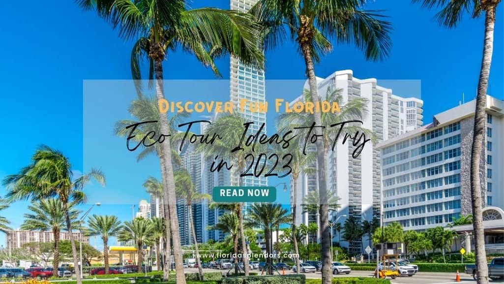 Discover Fun Florida Eco Tour Ideas to Try in 2023