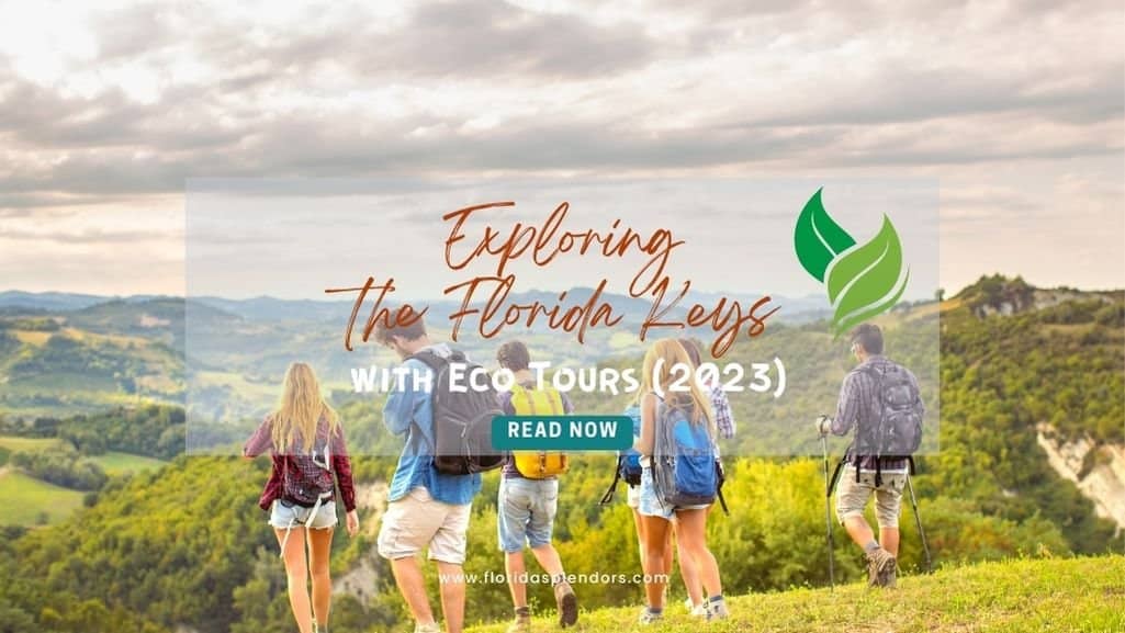 Exploring the Florida Keys with Eco Tours (2023)