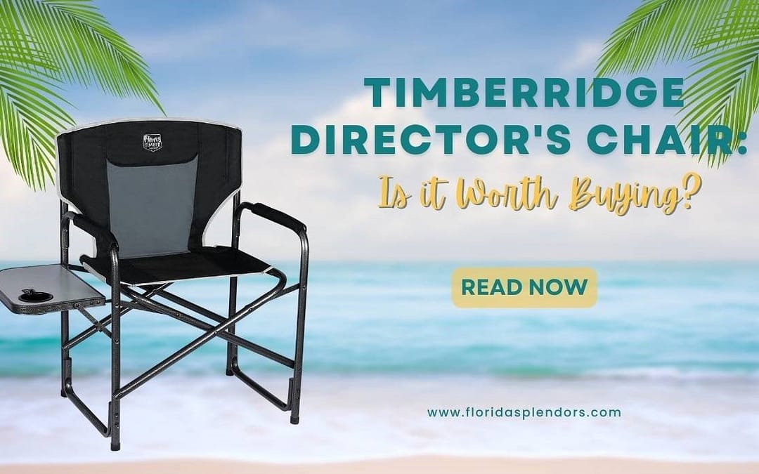 Timber Ridge Director’s Chair: Is it Worth Buying?