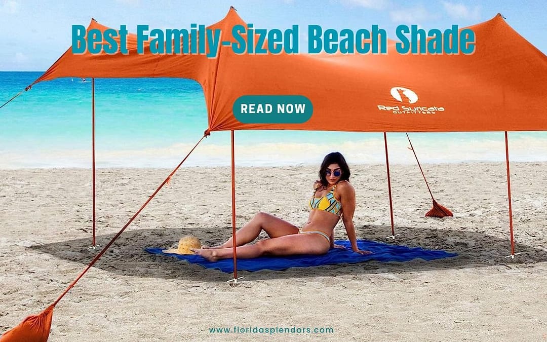 Best Family-Sized Beach Shade