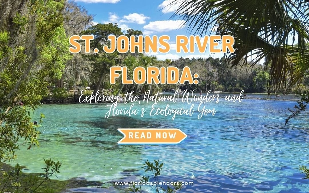 St. Johns River Florida: Exploring the Natural Wonders and Florida’s Ecological Gem