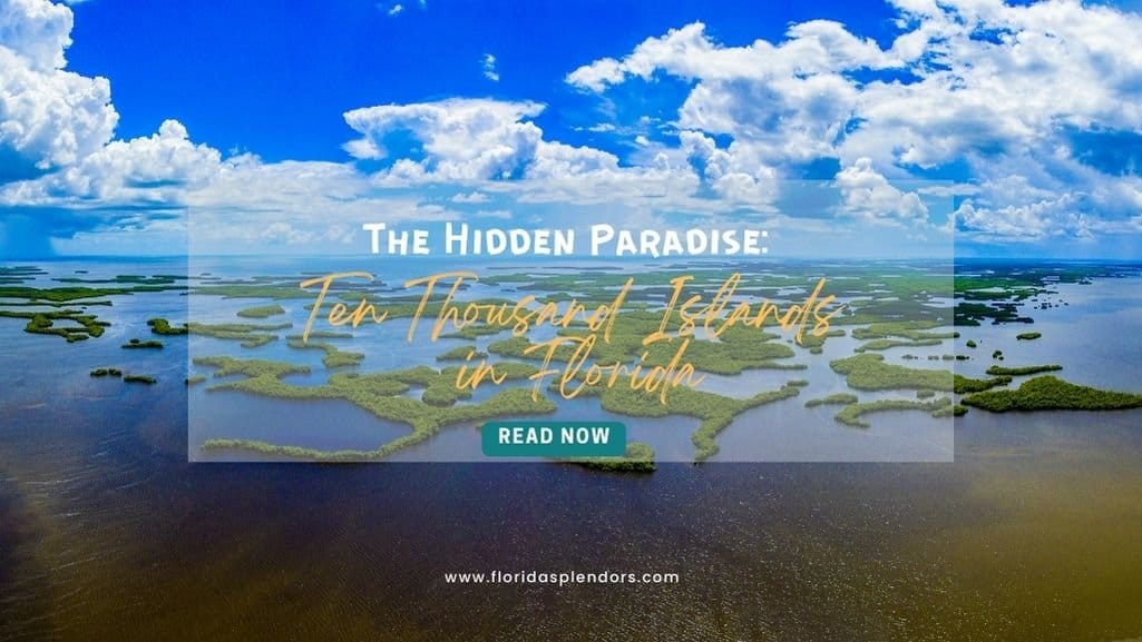 The Hidden Paradise Ten Thousand Islands in Florida