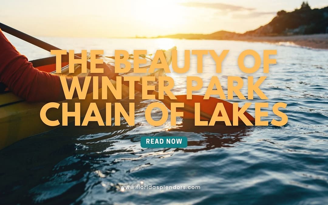 The Beauty of Winter Park Chain of Lakes