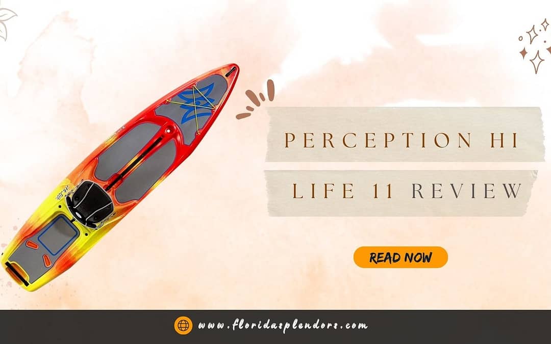 Perception Hi Life 11 Review