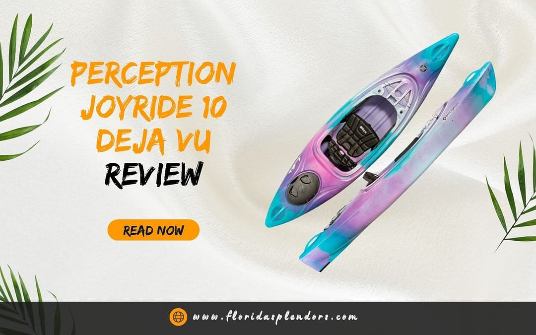 Perception Joyride 10 Deja Vu Review