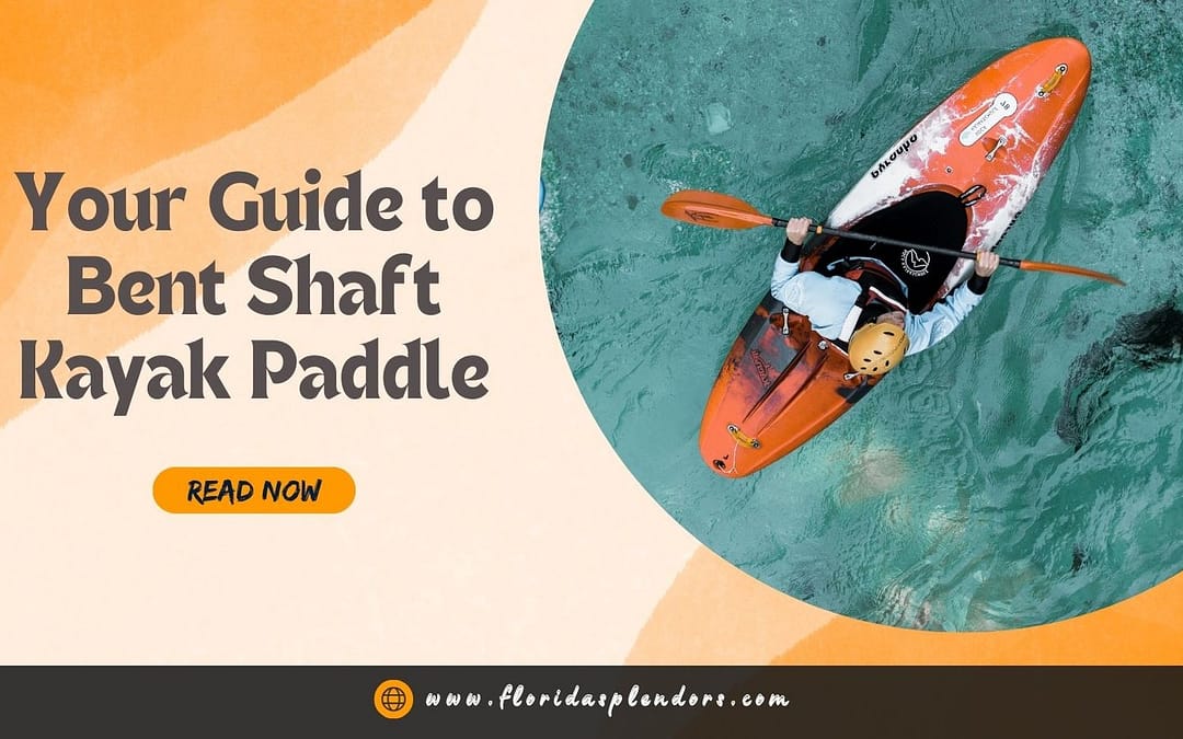 Your Guide to Bent Shaft Kayak Paddle