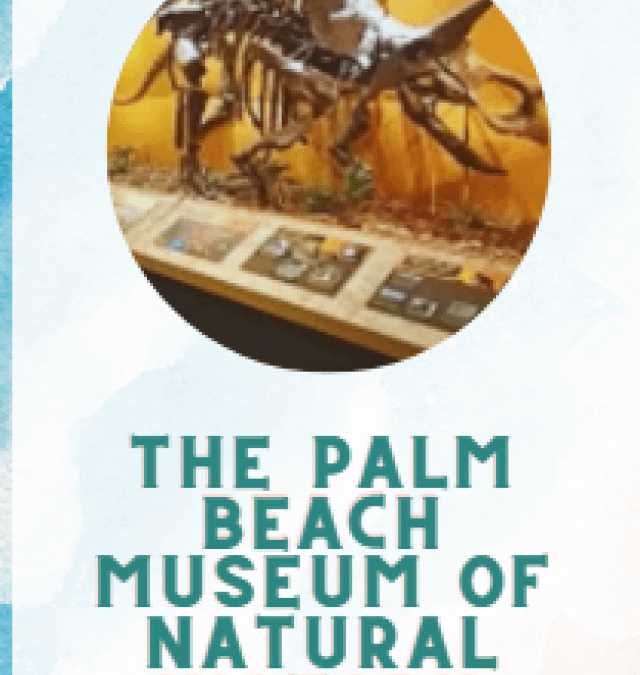 THE PALM BEACH MUSEUM OF NATURAL HISTORY