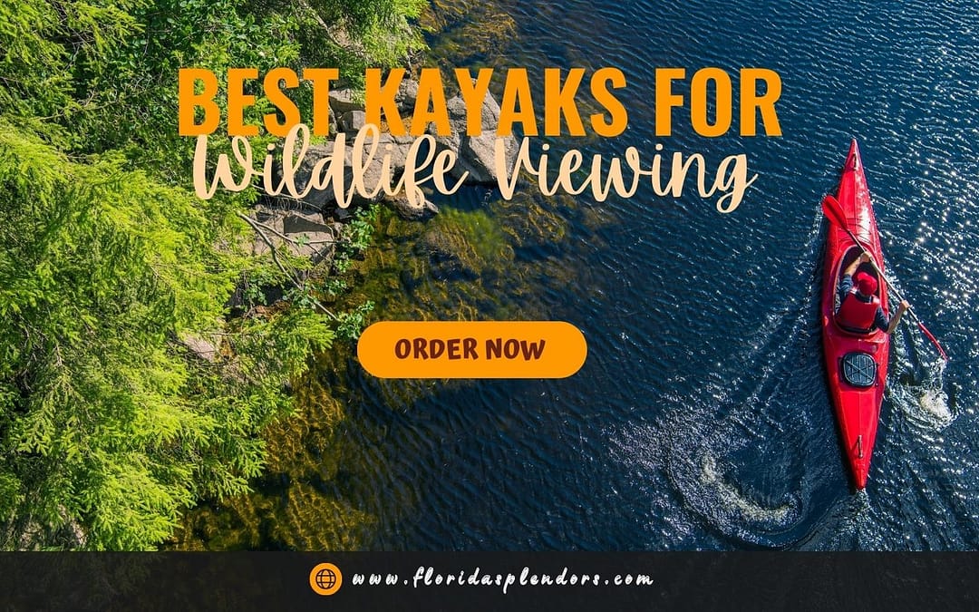 Best Kayaks for Wildlife Viewing