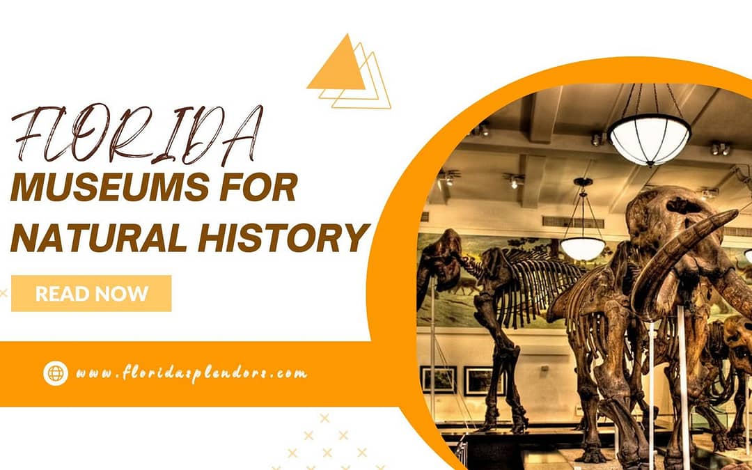Florida Museums for Natural History