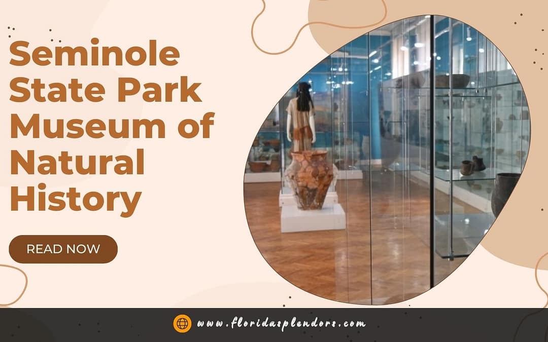 Seminole State Park Museum of Natural History