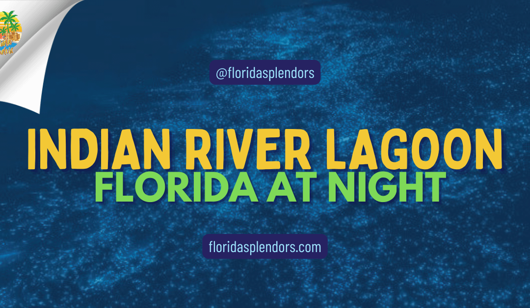 Indian River Lagoon Florida at Night