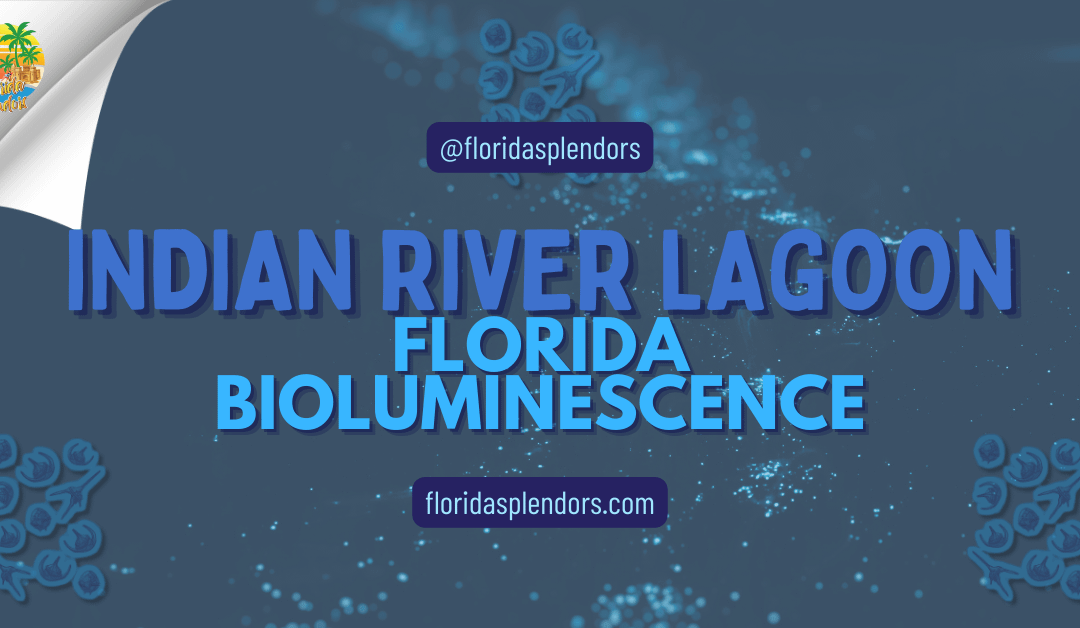Indian River Lagoon Florida Bioluminescence