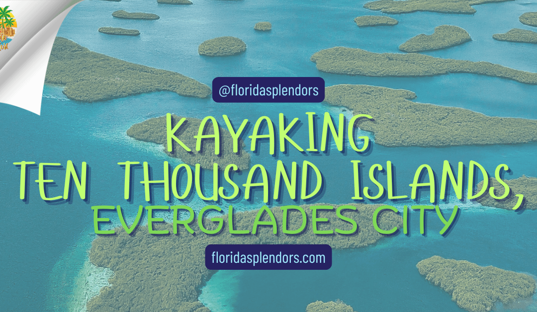 Kayaking Ten Thousand Islands, Everglades City