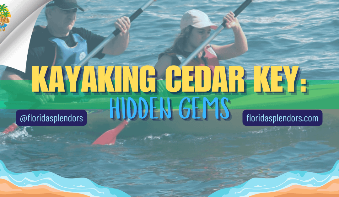 Kayaking Cedar Key: Hidden Gems