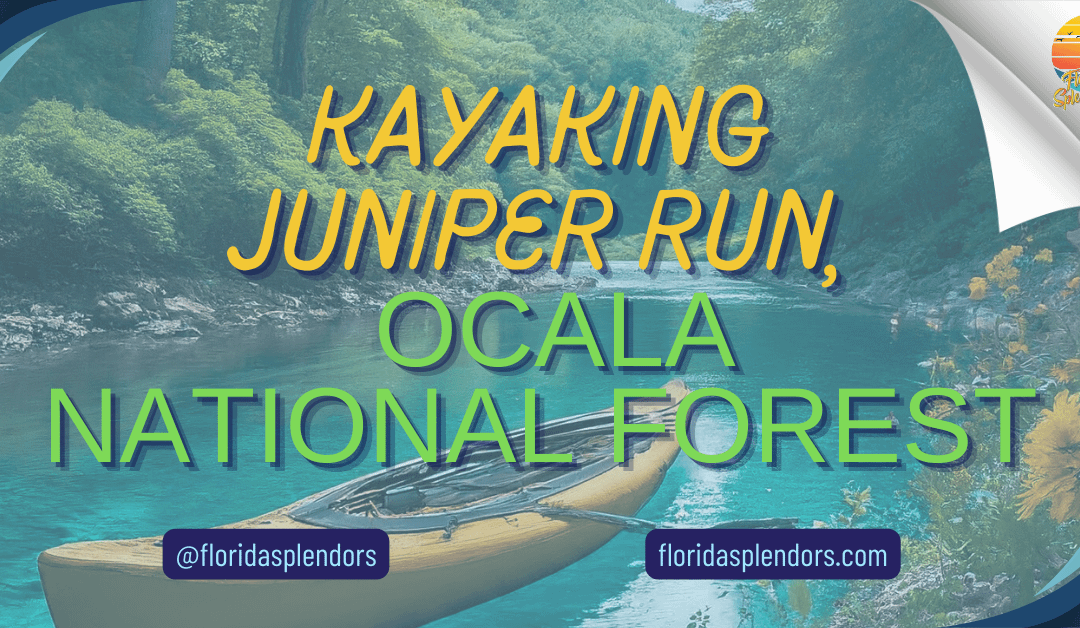 Kayaking Juniper Run, Ocala National Forest