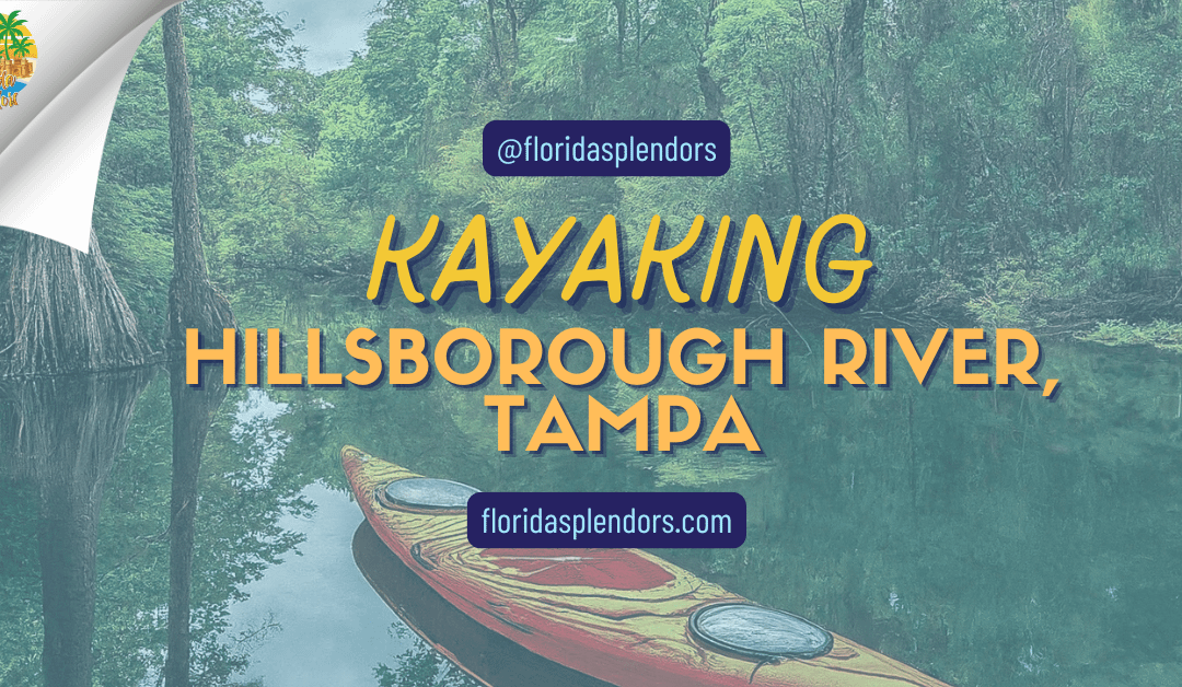 Kayaking Hillsborough River, Tampa