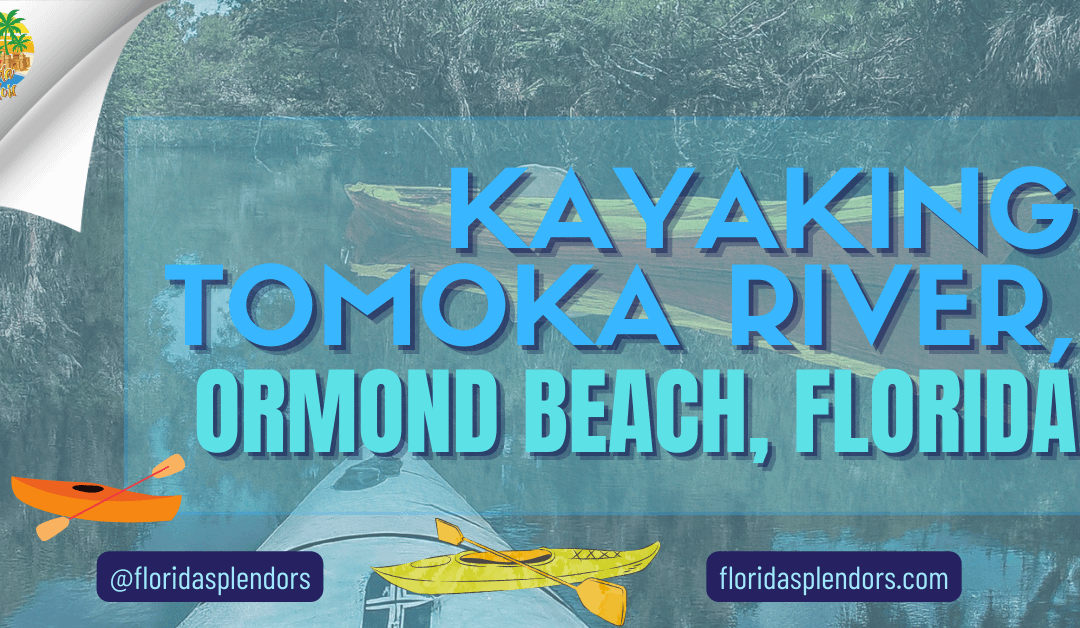 Kayaking Tomoka River, Ormond Beach, Florida