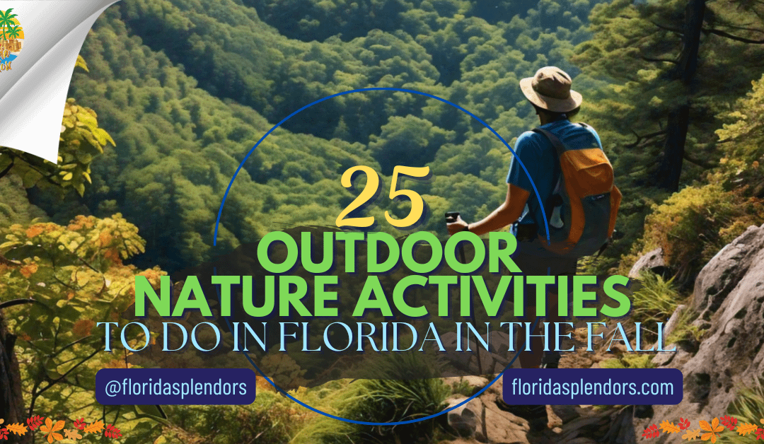 25 Outdoor Nature Activities To Do In Florida In The Fall