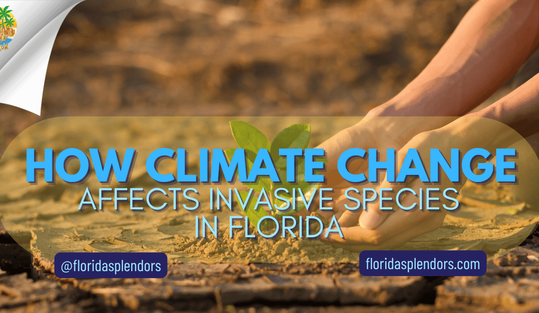How Climate Change Affects Invasive Species in Florida