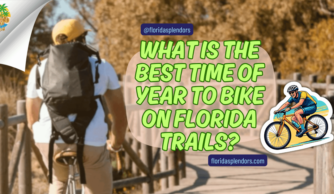 What Is The Best Time Of Year To Bike On Florida Trails?