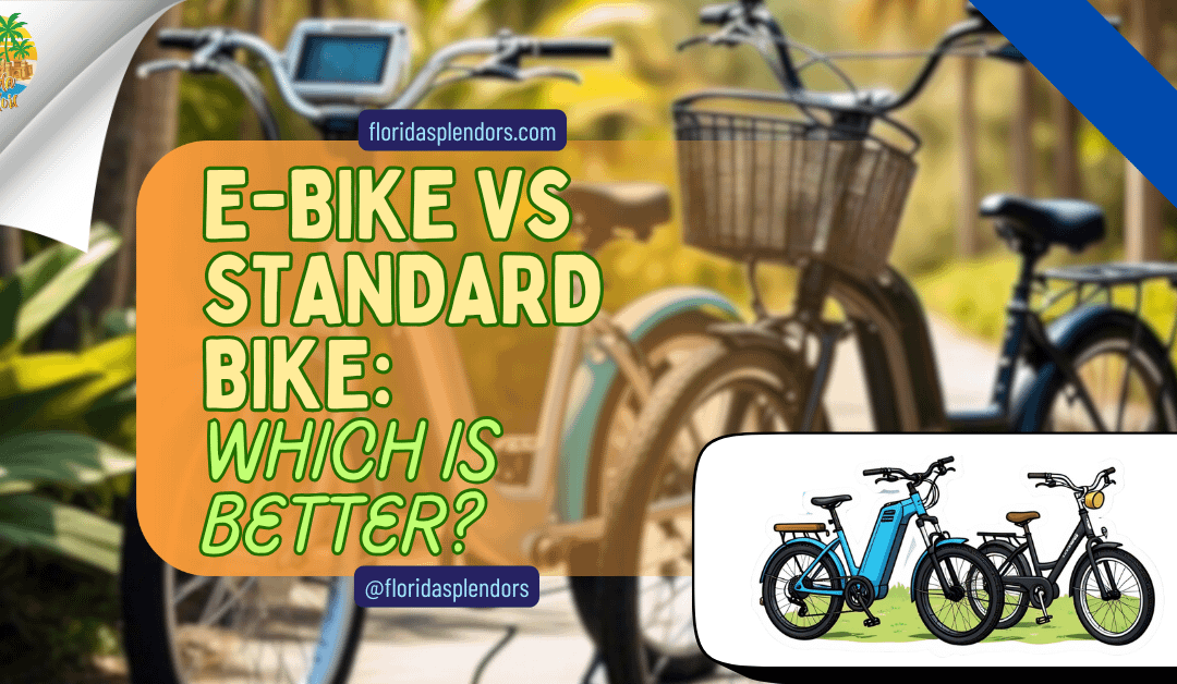 E-bike Vs Standard Bike: Which Is Better?