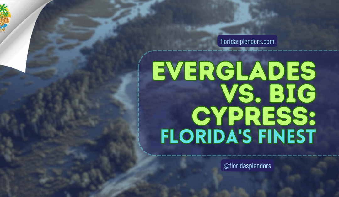 Everglades vs. Big Cypress: Florida’s Finest