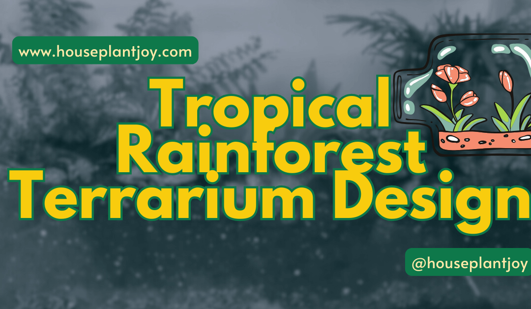 Tropical Rainforest Terrarium Plant: A Design Guide
