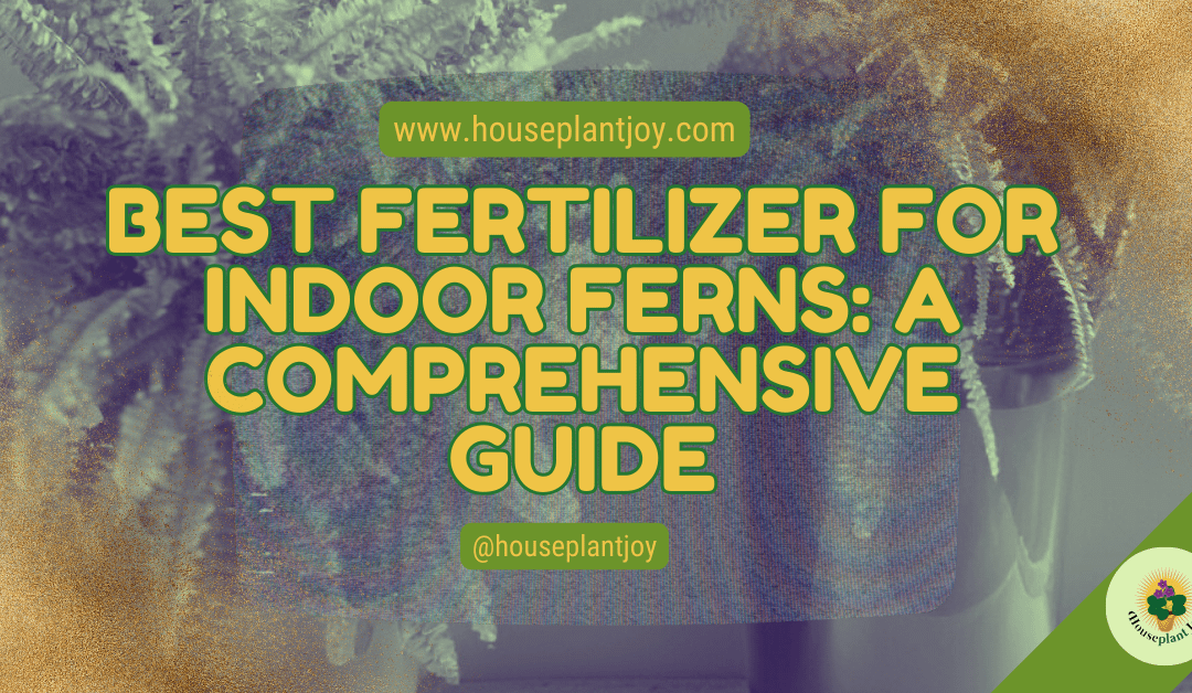 Best Fertilizer for Indoor Ferns: A Comprehensive Guide