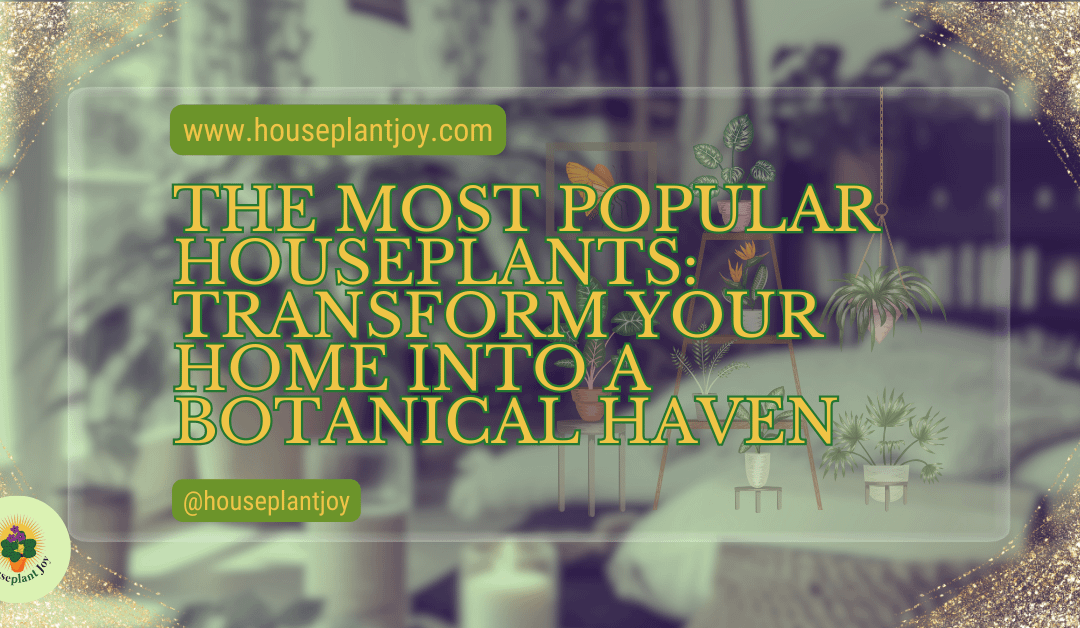 The Most Popular Houseplants: Transform Your Home into a Botanical Haven