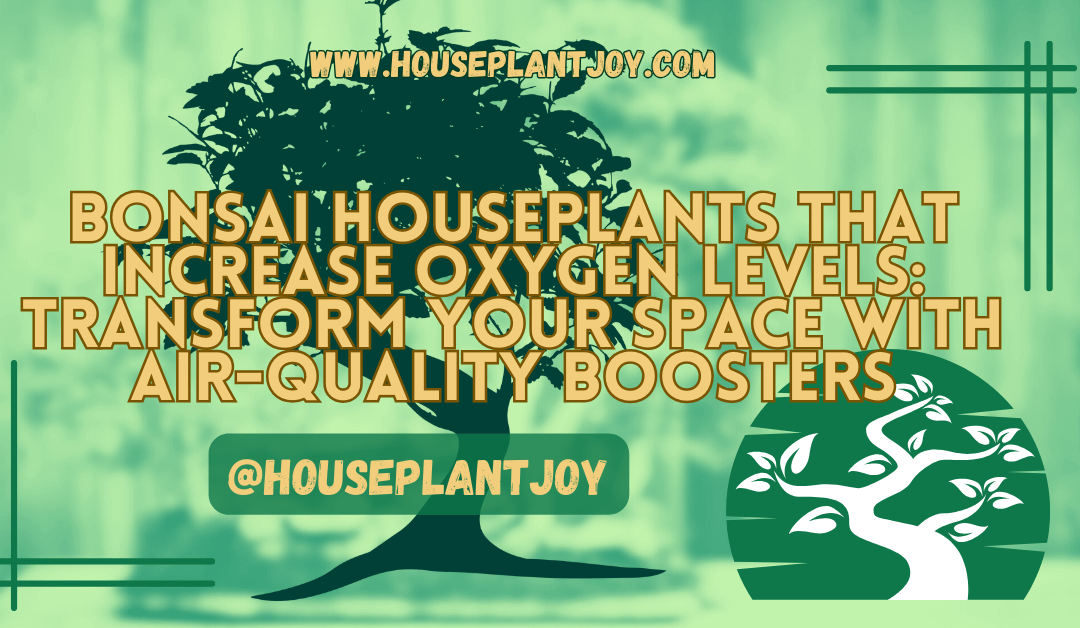 Bonsai Houseplants That Increase Oxygen Levels
