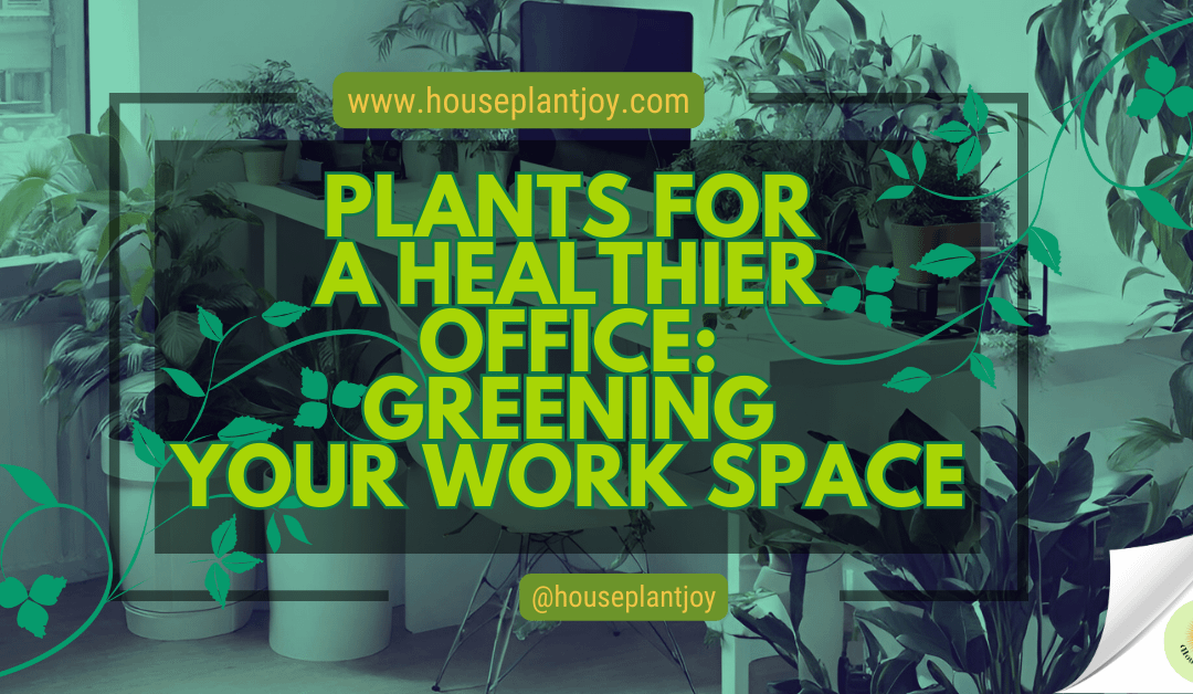 Plants for a Healthier Office: Greening Your Work Space