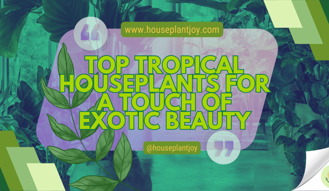 Top Tropical Houseplants For A Touch Of Exotic Beauty