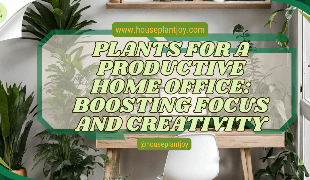 Plants For A Productive Home Office: Boosting Focus And Creativity