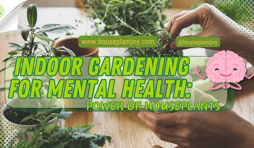 Indoor Gardening for Mental Health: Power of Houseplants