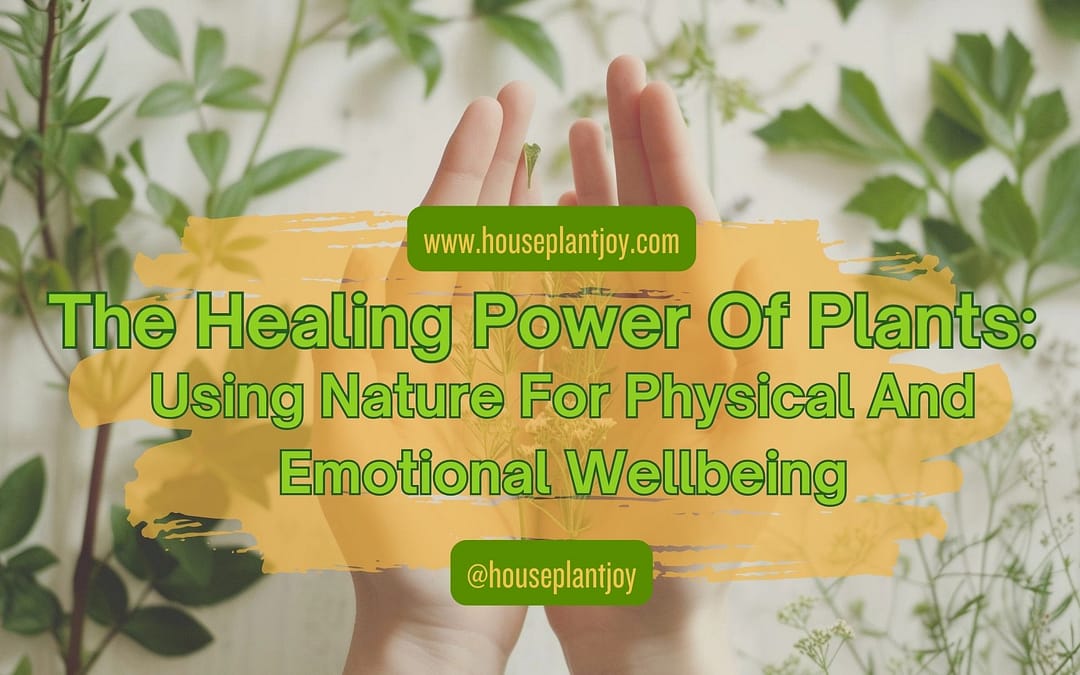 Healing Power of Plants: Nature’s Wellness