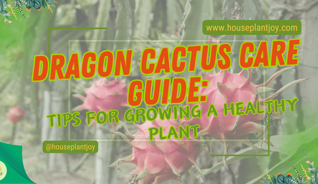 Dragon Cactus Care Guide: Tips for Growing a Healthy Plant