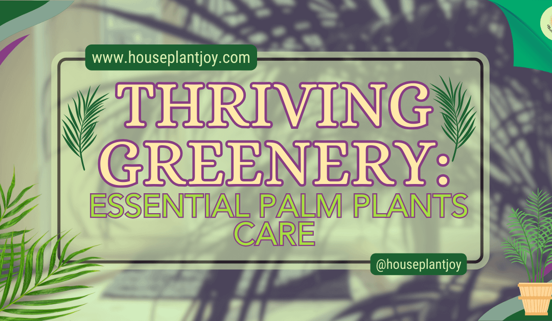 Thriving Greenery: Essential Palm Plants Care