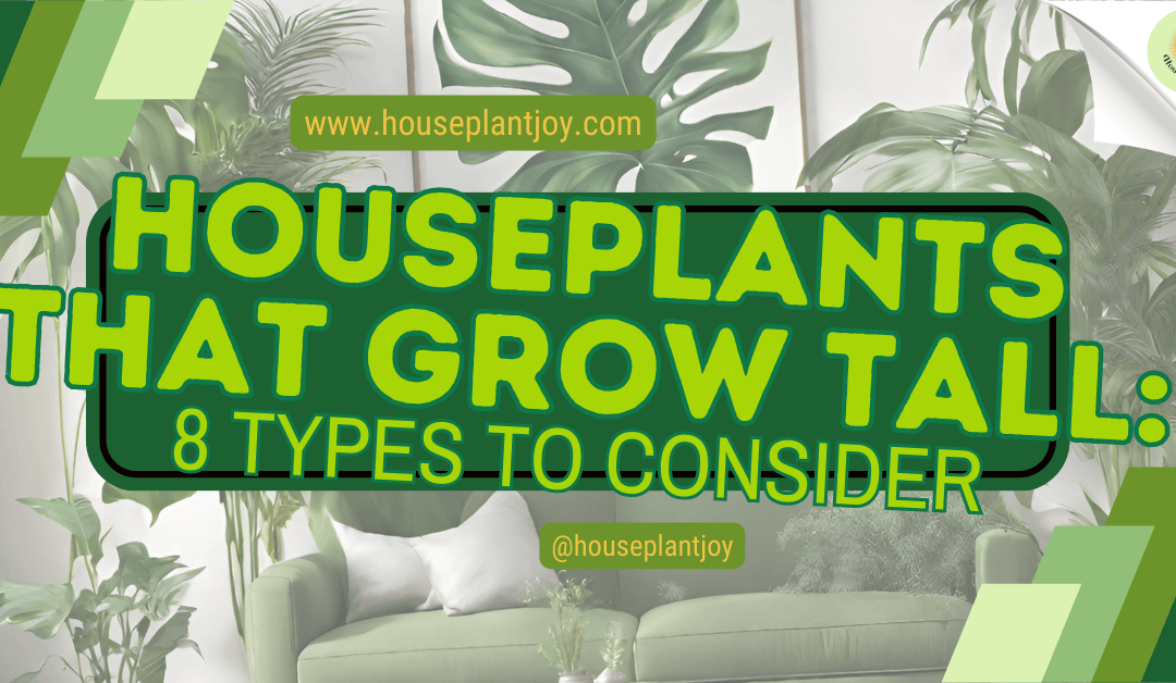 Houseplants That Grow Tall: 8 Types to Consider