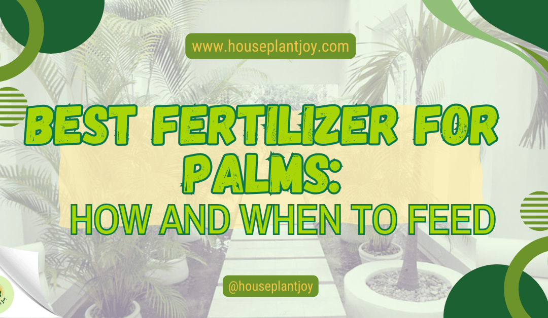 Best Fertilizer for Palms : How and When to Feed