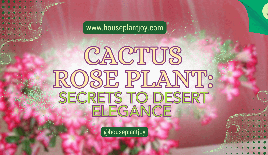 Cactus Rose Plant: Secrets to Desert Elegance