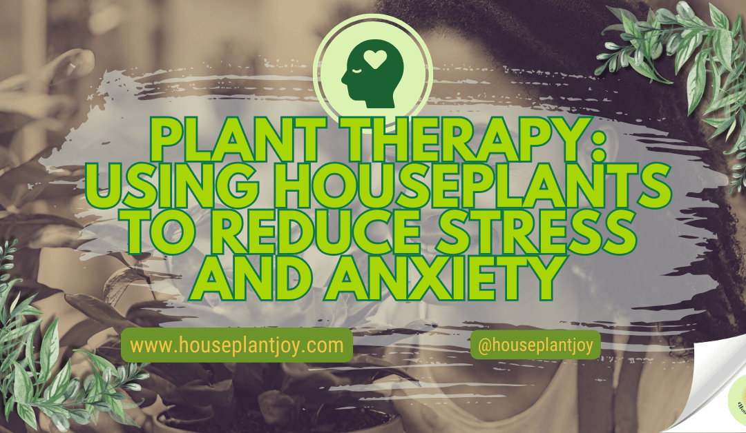 Plant Therapy: Using Houseplants To Reduce Stress And Anxiety