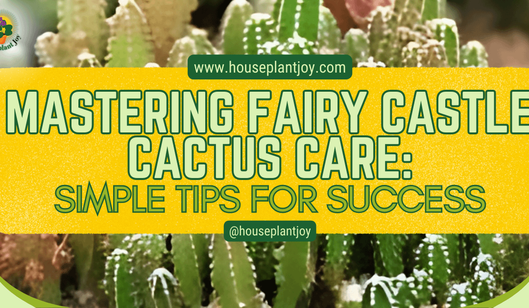 Mastering Fairy Castle Cactus Care: Simple Tips for Success