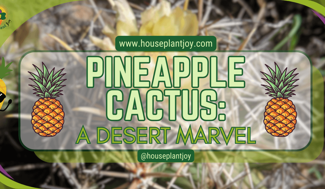 Pineapple Cactus: A Desert Marvel