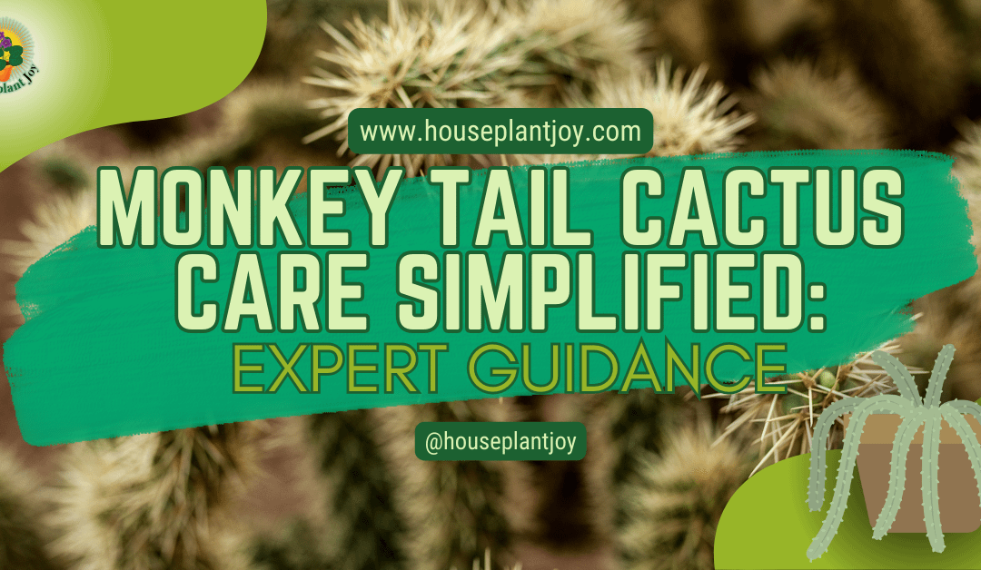 Monkey Tail Cactus Care Simplified: Expert Guidance