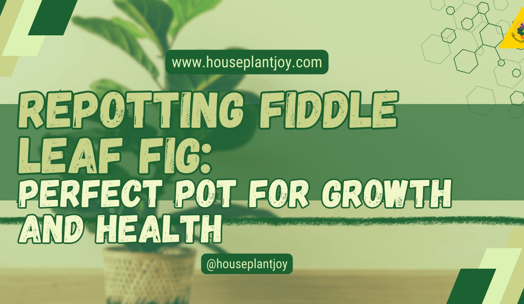 Repotting Fiddle Leaf Fig: Perfect Pot for Growth and Health