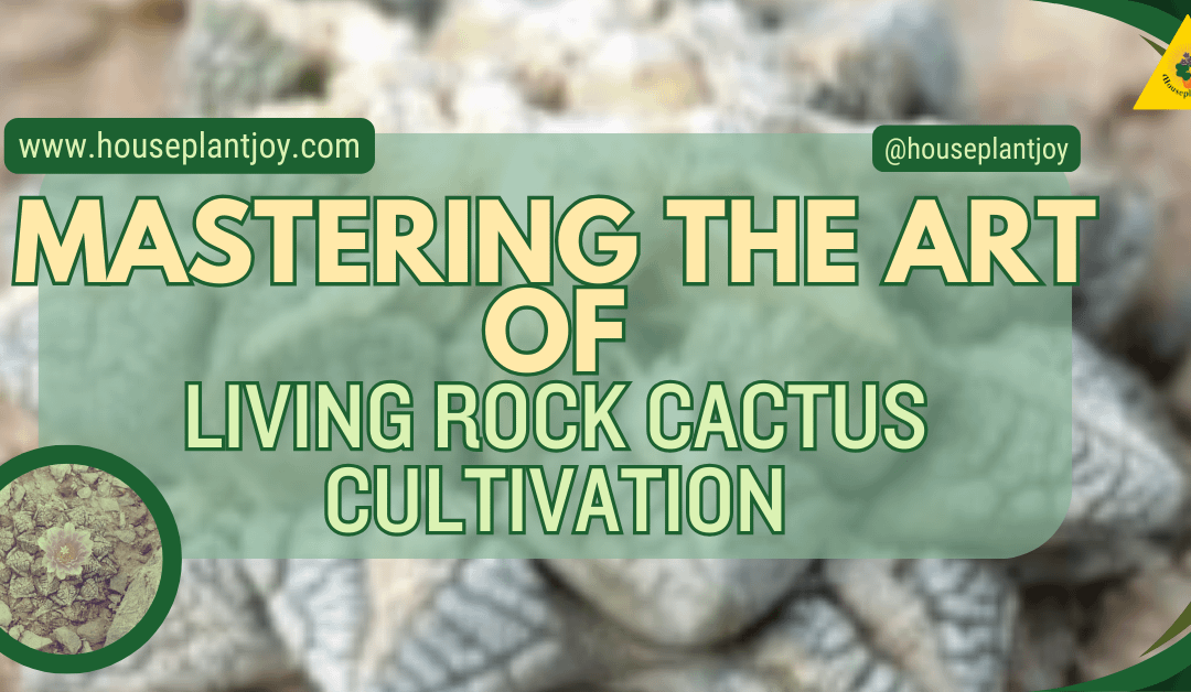 Mastering the Art of Living Rock Cactus Cultivation
