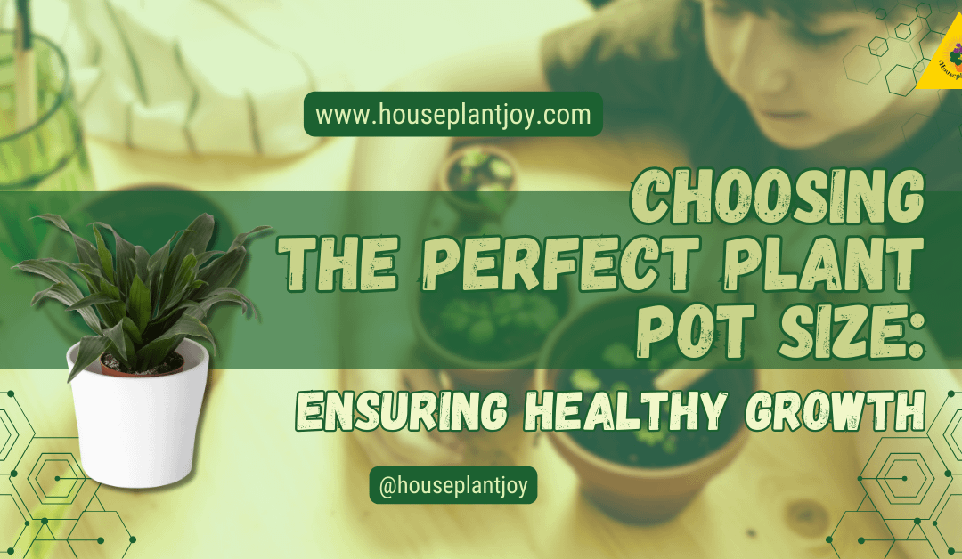Choosing the Perfect Plant Pot Size: Ensuring Healthy Growth