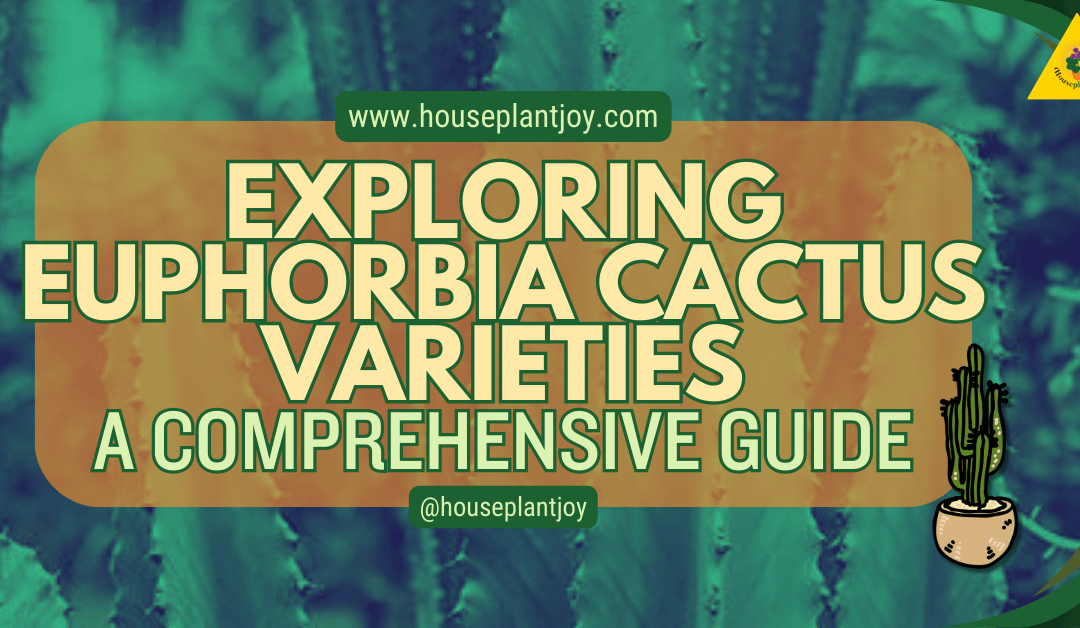 Exploring Euphorbia Cactus Varieties – A Comprehensive Guide