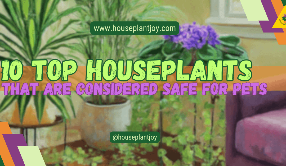 10 Top Houseplants That Are Considered Safe for Pets